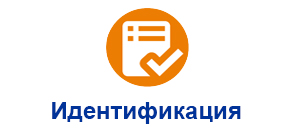 Идентификация